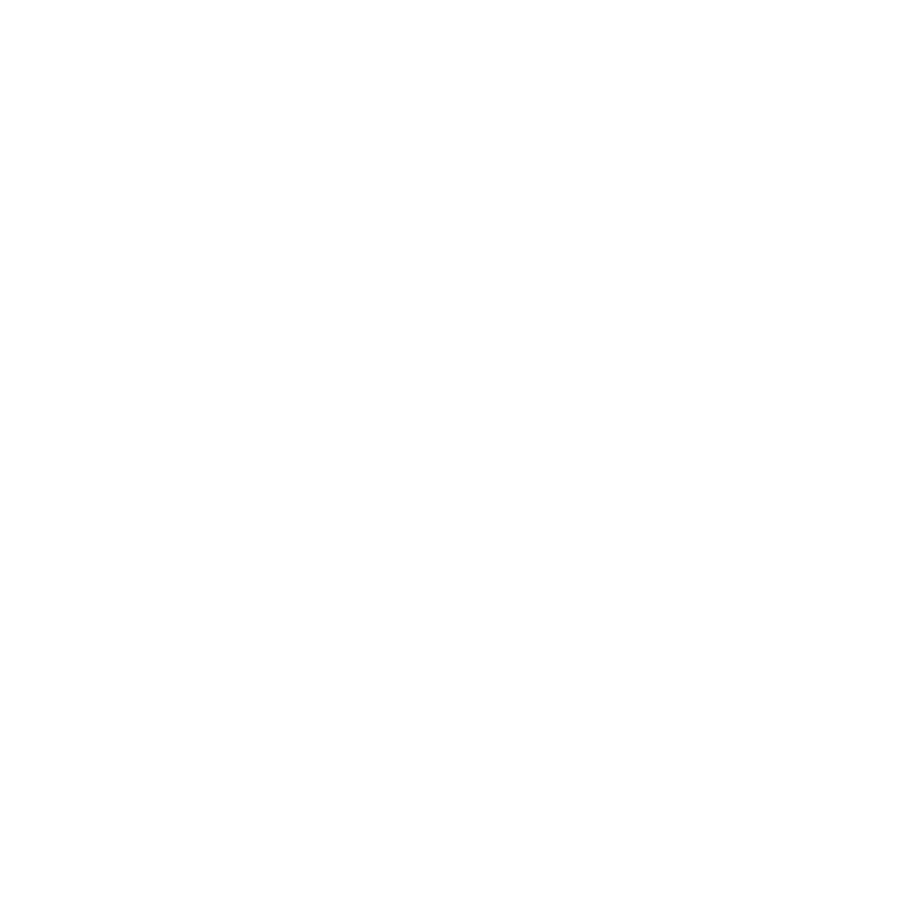 Earn long term revenue with quality content writing services by Brandloom USA