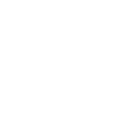 Raisoni University
