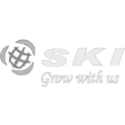 SKI Finance