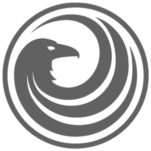 Junglecrow BrandLoom Digital marketing Agency USA client