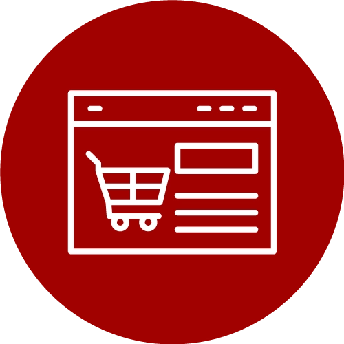 ecommerce website design & development services in the United States
