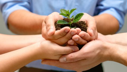 Grow your business with top digital marketing agencies Grow your business with top digital marketing agencies