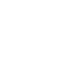Raisoni University